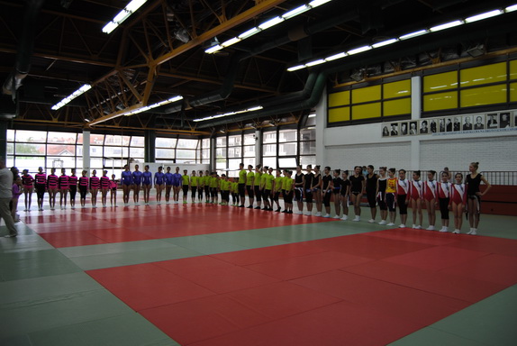 GaudiumSRB2011